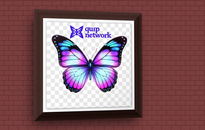 Framed picture on a brick wall displaying a colorful purple and blue butterfly with the text 'qup network' and a butterfly logo.