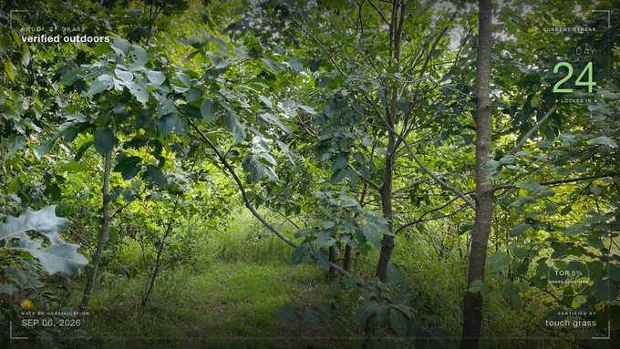 A lush green forest scene with dense foliage and trees, featuring overlay text reading 'verified outdoors', 'CURRENT STREAK DAY 24', 'SEP 06, 2026', and 'touch grass'.