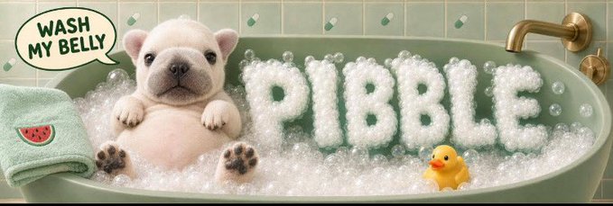 An adorable white French Bulldog puppy sits in a bubble bath with the word "PIBBLE" spelled out in foam beside it, accompanied by a "WASH MY BELLY" speech bubble. The image ties to the post's "New Decade, New Doge $PIBBLE" theme by playfully presenting the puppy as a mascot for the PIBBLE meme token.