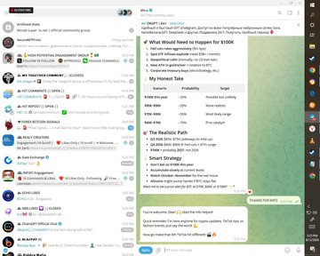 A low-resolution screenshot of a Telegram chat showing an investment 'My Honest Take' for tokens like WLFI and MSTR, featuring sections on 'The Realistic Path' and 'Smart Strategy'.