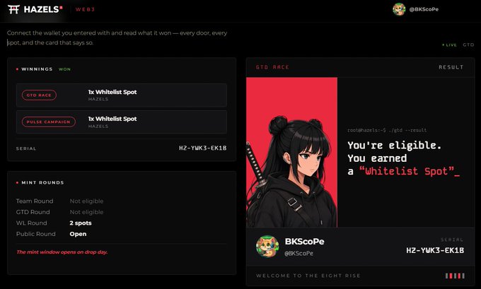 A Hazels Web3 dashboard shows a user (BKScOpe, serial H2-YWK3-EK1B) has won 1x Whitelist Spot in the GTO Race and Pulse Campaign rounds.