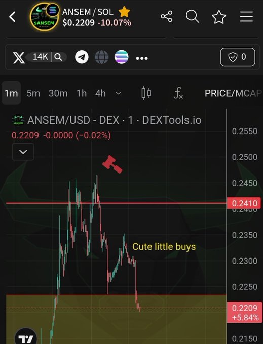 A DEXTools price chart for the ANSEM/SOL cryptocurrency pair, currently priced at $0.2209 (-10.07%), with annotations pointing to 'Cute little buys' on the chart.