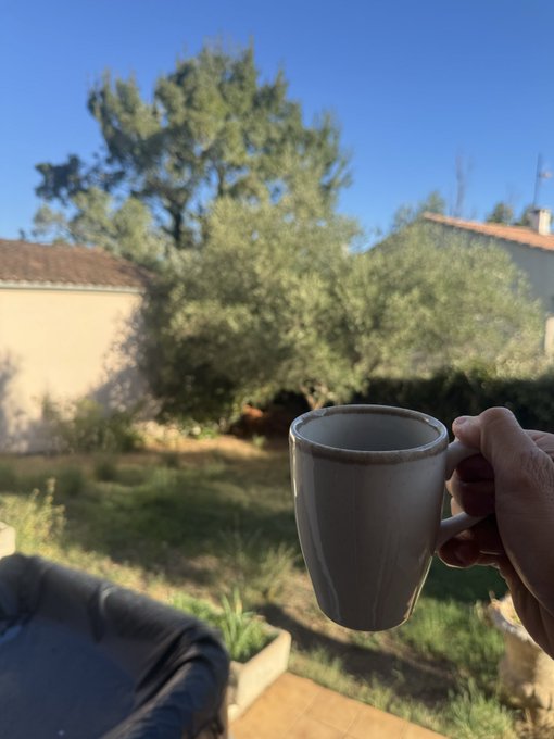 A hand holds a ceramic mug of coffee in a sunny outdoor patio with a garden and trees in the background.
