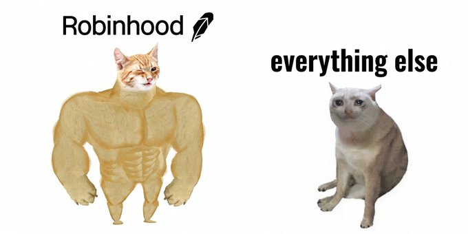 A meme comparing Robinhood (depicted as a buff, muscular cat) to 'everything else' (depicted as a regular white cat), humorously illustrating Robinhood's superior status.