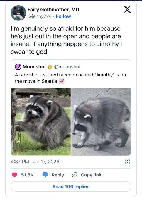The image shows a tweet from @jenny2x4 expressing concern for "Jimothy," a rare short-spined raccoon spotted in Seattle, quoting a Moonshot tweet dated July 17, 2026, which has garnered 51.8K likes. The post frames Jimothy as a meme-worthy "moonshot" token, referencing a Forbes article and jokingly projecting "$Jimothy billions" as a viral cultural phenomenon.