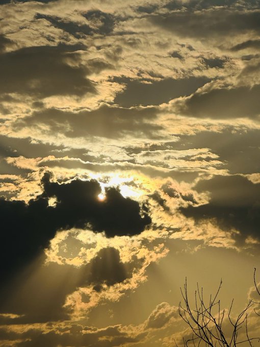 The sun partially hidden behind dark, dramatic clouds, with a silhouetted tree branch visible at the bottom right, capturing the moment of the eclipse with golden light filtering through the sky.

The image relates to the post by showing the solar eclipse partially obscured by heavy cloud cover, suggesting the cloudy weather may have impacted the viewer's ability to fully witness the eclipse they came to see.