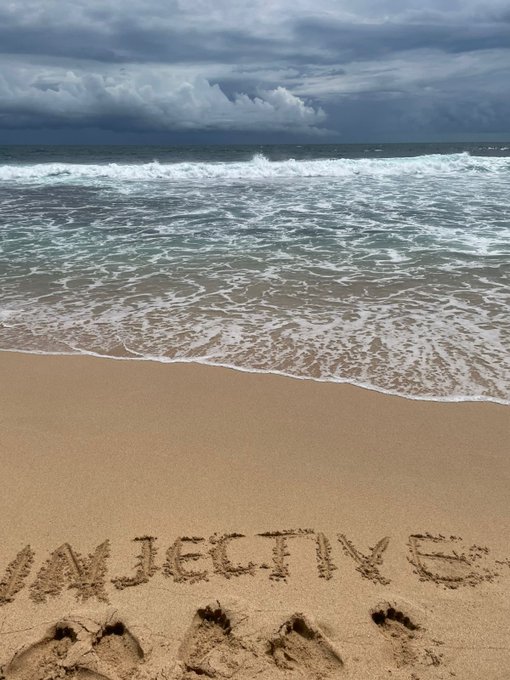A beach scene with ocean waves rolling onto the sand under a cloudy sky, with the word 'OBJECTIVITY' written backwards in the sand.