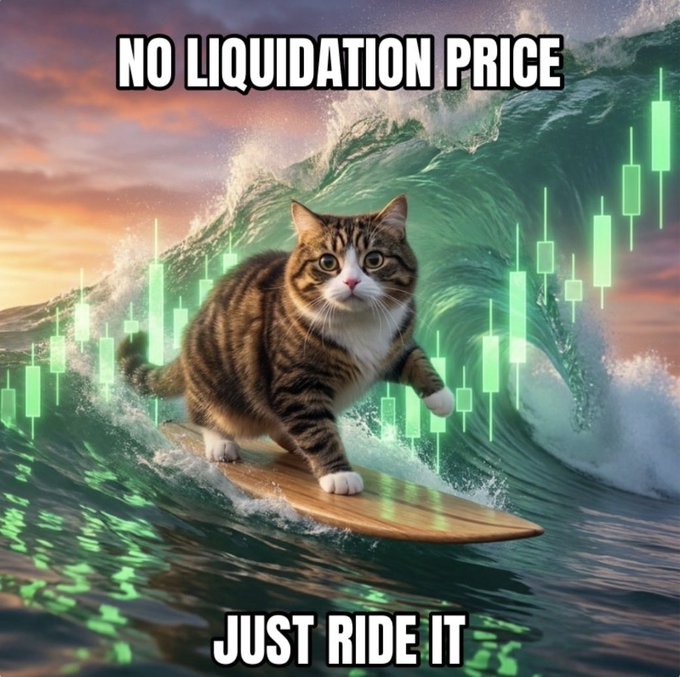A meme featuring a tabby cat surfing on a green wave with stock market candlestick charts overlaid, captioned 'NO LIQUIDATION PRICE' at the top and 'JUST RIDE IT' at the bottom.