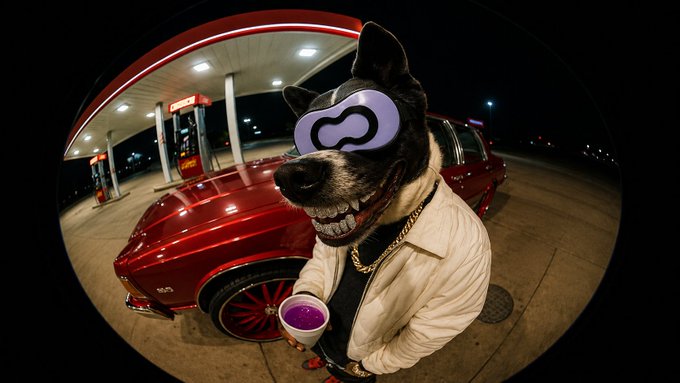 A fisheye lens photograph of a dog wearing purple goggles, a white shirt, and a gold chain, holding a purple drink in front of a red classic car at a gas station.