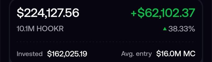 The image displays a trading portfolio summary showing a position in **HOOKR** (10.1M tokens) with a current value of **$224,127.56**, an unrealized gain of **+$62,102.37 (+38.33%)**, and an invested amount of **$162,025.19** at an average market cap entry of **$16.0M**.

The caption suggests the user has placed a substantial bet on the meme token **$HOOKR**, with the dashboard confirming it's one of their larger recent positions that's currently performing well in profit.