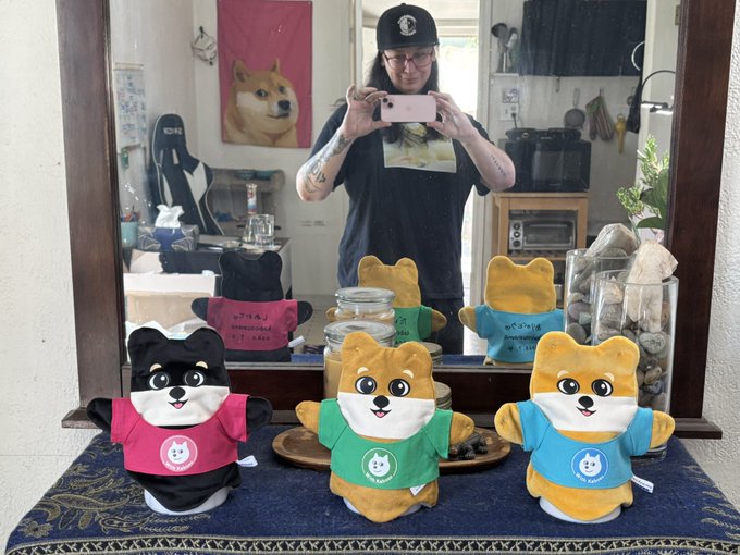 A mirror selfie of a person wearing a cap, surrounded by several Shiba Inu plush toys wearing t-shirts in various colors, with a larger doge poster on the wall.