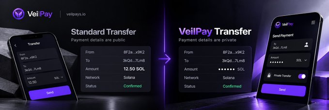 A promotional banner for VeilPay (veilpays.io) showing two smartphone screens that compare a public 'Standard Transfer' of 12.50 SOL on Solana to a private 'VeilPay Transfer' with masked wallet addresses and amounts.