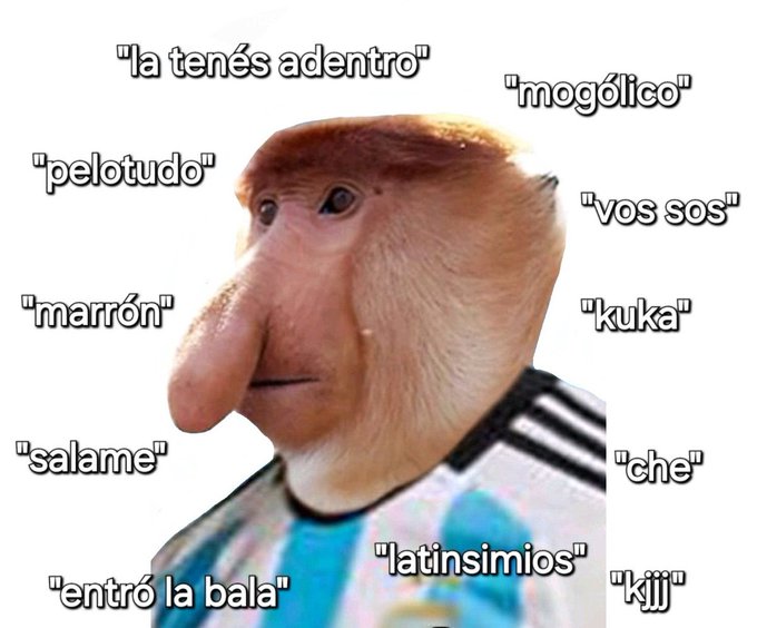 A meme image of a proboscis monkey wearing a striped shirt, surrounded by Spanish/Rioplatense slang terms in quotation marks such as 'pelotudo', 'mogólico', 'kuka', and 'che'.