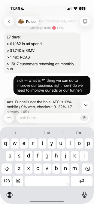 A screenshot of an iMessage conversation with 'Pulse' showing business metrics like $1,162 in ad spend and 1.49x ROAS, with a reply asking about business improvements.