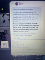 A screenshot of an Instagram direct message thread titled "Sheeeu" containing a long automated message about resolving account issues, with a username "StoneDryMango" visible at the bottom.