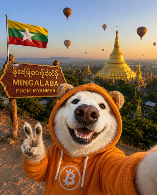The image features a white dog wearing an orange hoodie, posing with its paw raised as if offering a peace sign. The background includes several floating hot air balloons, suggesting that they are at a location where balloon festivals or events take place, like a park in Myanmar. The caption reads "Just landed in Myanmar. Locals asked me what I was doing here. I said: ?"