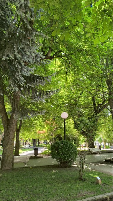 A peaceful park scene with a tall street lamp nestled among lush green trees, empty benches, and a quiet walking path, perfectly capturing the relaxed Friday vibes for a happy weekend send-off.