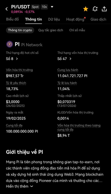 A Vietnamese-language cryptocurrency information page for PI Network (PI/USDT) with stats including market rank #8, market cap of $987.57T, circulating supply of 11,041,721,727 PI, and a description of the Web3 ecosystem.