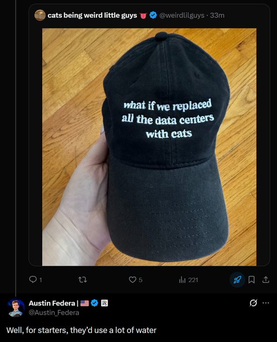 A hand holds up a black baseball cap with the embroidered white text "what if we replaced all the data centers with cats," posted by the account "cats being weird little guys" (@weirdlilguys), below which Austin Federa (@Austin_Federa), co-founder of DoubleZero, replies, "Well, for starters, they'd use a lot of water," humorously engaging with the anti-datacenter, cat-themed merchandise referenced in the accompanying post about an emerging anti-AI movement.