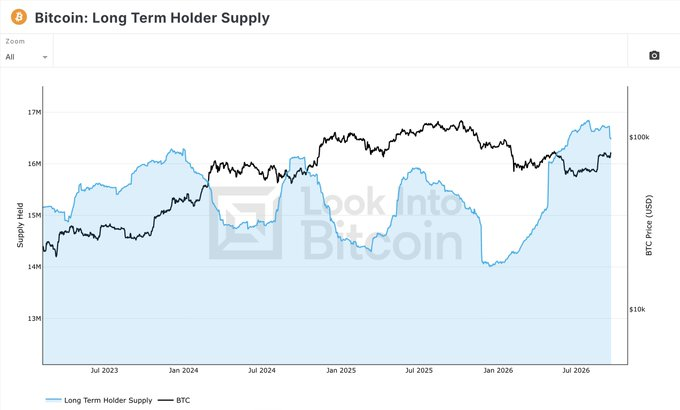 The image is a chart titled "Bitcoin: Long Term Holder Supply" from Look Into Bitcoin, displaying both the Long Term Holder Supply (light blue area) and BTC Price in USD (black line) from mid-2023 through late 2026. The chart supports the caption by showing Long Term Holder Supply steadily climbing to around 16.5-17M BTC while BTC price trends upward, visually confirming that long-term holders are aggressively accumulating Bitcoin.