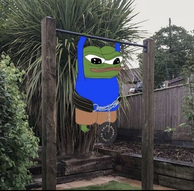 A Pepe the Frog cartoon character is digitally edited onto an outdoor pull-up bar in a backyard, hanging from the bar with a weight plate labeled "BEING SKINNY IT" chained to its waist. The image humorously contrasts the motivational advice about self-improvement and building value with Pepe's "gains" workout, playfully linking physical "gainz" to the post's message about gaining skills, character, and relationships.