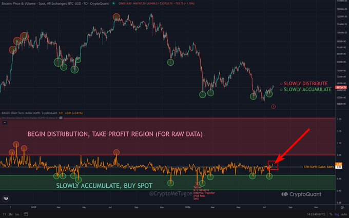 The image is a Bitcoin price chart (BTC/USD) on TradingView showing price action alongside the Short-Term Holder SOPR indicator from CryptoQuant. The SOPR has just crossed above the 1.0 line (currently at 1.01), highlighted by a red arrow, indicating the transition from the "SLOWLY ACCUMULATE, BUY SPOT" zone (below 1.0) to the "BEGIN DISTRIBUTION, TAKE PROFIT REGION" zone (above 1.0), with annotated green and red circles marking historical distribution and accumulation periods.