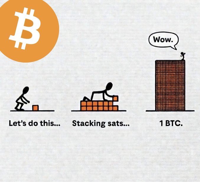 A stick figure progresses from a single sat ("Let's do this...") to stacking sats in growing piles ("Stacking sats...") until reaching a towering wall of orange units topped by an amazed figure exclaiming "Wow." next to the Bitcoin logo, illustrating the journey from humble beginnings to accumulating 1 BTC.