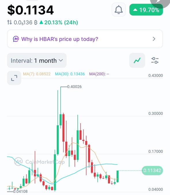 A 1-month candlestick chart for Hedera ($HBAR) showing the current price of $0.1134, up 19.70% (20.13% in 24h), with a historical high of $0.40026 and low of $0.04108, illustrating the volatile recovery pattern the poster finds encouraging for holders.
