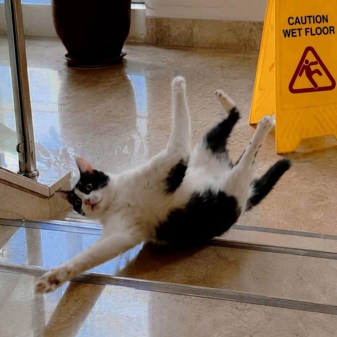 A black and white cat lying on its back in a sprawled position on a tiled floor, comically positioned next to a yellow "CAUTION WET FLOOR" sign.