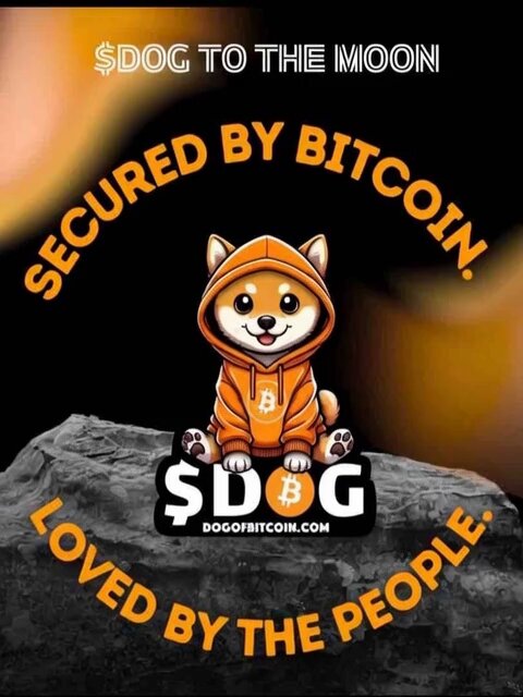 The image features a cartoon dog wearing an orange hoodie, sitting on top of a rock with its tongue out. Below the dog's head, there are two lines of text that read "Secured by Bitcoin." The background of the image is black, which contrasts with the bright orange color of the dog's hoodie and makes it stand out more prominently.
