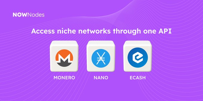A NOWNodes promotional graphic featuring the tagline "Access niche networks through one API" displays logos for Monero (XMR), Nano, and Ecash (XEC), highlighting eCash's inclusion among supported blockchain networks for developer accessibility.