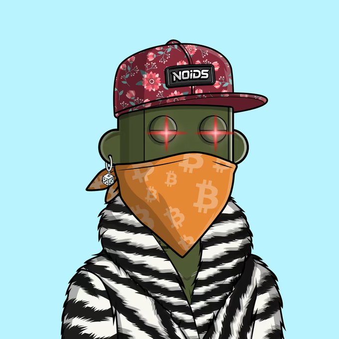 A cartoon illustration of a green-skinned figure wearing a floral 'NOIDS' cap, an orange bandana with Bitcoin logos, glowing red eyes, and a black and white striped fur coat.