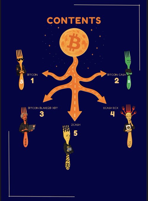An infographic titled 'CONTENTS' shows a Bitcoin logo at the center with arrows branching out to five forks representing different cryptocurrencies: Bitcoin (1), Bitcoin Cash (2), Bitcoin BLAKE2B XBT (3), Ecash ECX (4), and Zcash (5).