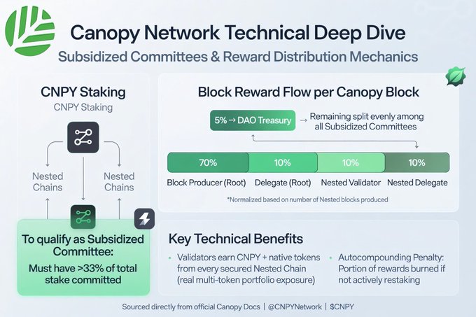 Canopy Network Technical Deep Dive infographic explaining Subsidized Committees & Reward Distribution Mechanics, showing CNPY staking, 33% qualification threshold, and block reward flow: 5% DAO Treasury, 70% Block Producer (Root), 10% Delegate (Root), 10% Nested Validator, 10% Nested Delegate.