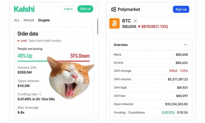 Two cryptocurrency prediction market screens: the left shows Kalshi's "Order data" for BTC with "49% Up" vs "51% Down" and a yawning orange cat image, while the right shows Polymarket's BTC overview priced at "$80,608" with a "$910.00 (1.12%)" change.