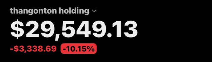 A Robinhood-style portfolio screen showing 'thangonton holding' with a value of $29,549.13, down $3,338.69 or -10.15% in red.