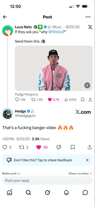 A screenshot of an X (formerly Twitter) post exchange where Luca Netz replies to Hedge (@Hedgeguin) about a 'Pudgy Penguins' video, with the reply stating 'That's a fucking banger video' and showing 2.5K Views.
