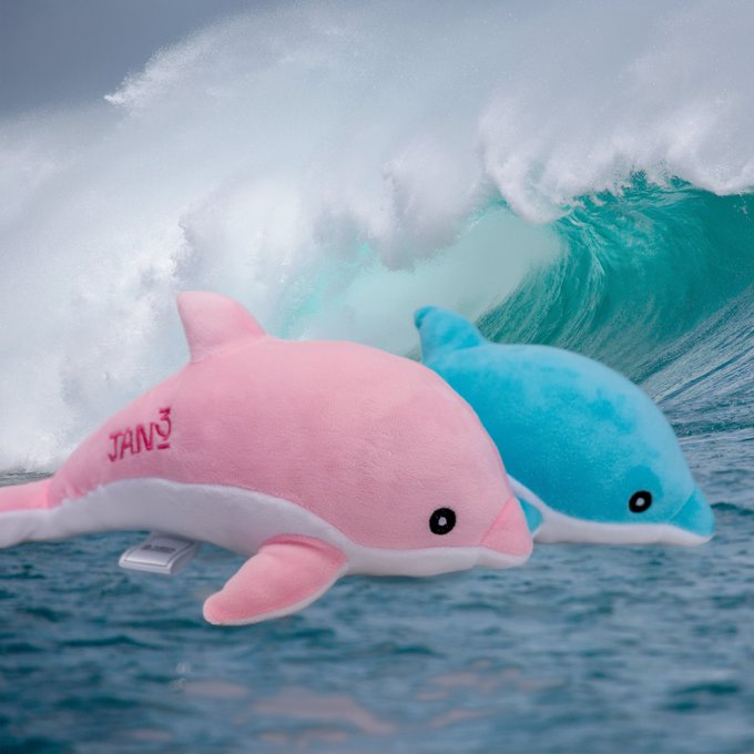 Two plush dolphin toys—one pink and one blue, with the pink one displaying the "JAN3" logo—float against a dramatic ocean wave backdrop, visually tying into the playful message about companionship on the Bitcoin journey.