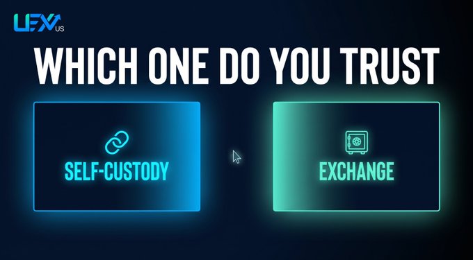 A promotional graphic asking 'WHICH ONE DO YOU TRUST' with two illuminated boxes labeled 'SELF-CUSTODY' (blue) and 'EXCHANGE' (green) under the 'LFY US' logo.
