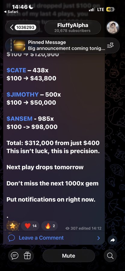 Telegram screenshot showing a pinned message from 'FluffyAlpha' advertising gambling wins including $CATE 438x, $JIMOTHY 500x, and $ANSEM 985x, totaling $312,000 from $400.