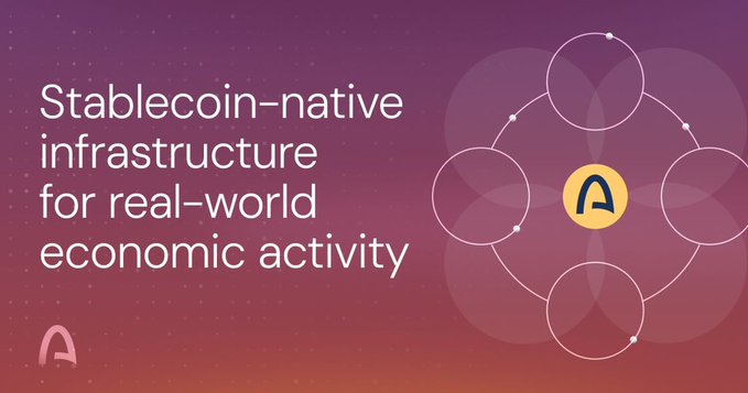 The image features a purple background with white text, which reads "Stablecoin-native infrastructure for real-world economic activity" followed by an explanation of stablecoins. The image also includes a small yellow circle with the letter "A" inside it.