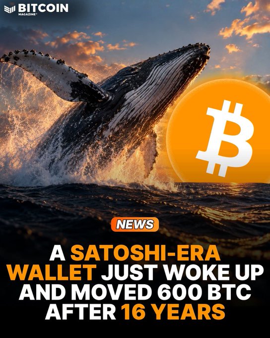 A Bitcoin Magazine news graphic featuring a breaching whale and the Bitcoin logo, with text reading 'NEWS: A SATOSHI-ERA WALLET JUST WOKE UP AND MOVED 600 BTC AFTER 16 YEARS.'