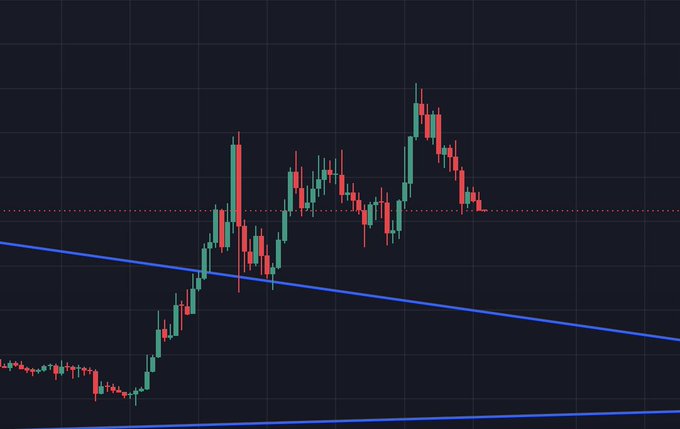 A candlestick chart shows a strong upward trend in $TAO's price with a notable rally forming a peak in the upper portion, visually supporting the poster's enthusiasm about the asset's bullish momentum. The blue trendlines highlight the broader ascending channel structure that underscores the post's claim of the token looking "insanely strong."