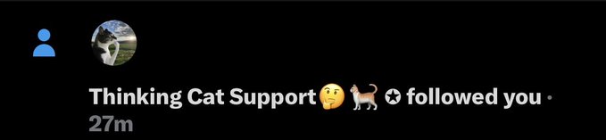 A social media notification from 'Thinking Cat Support' with cat and thinking face emojis, stating 'followed you' with a timestamp of '27m'.