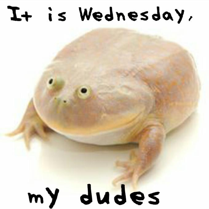 A meme image featuring a pale, round frog with the text 'It is Wednesday,' at the top and 'my dudes' at the bottom.