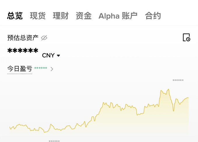 A Chinese financial app account overview screen displaying navigation tabs (总览, 现货, 理财, 资金, Alpha, 账户, 合约) and a blurred asset chart with redacted values marked by asterisks.