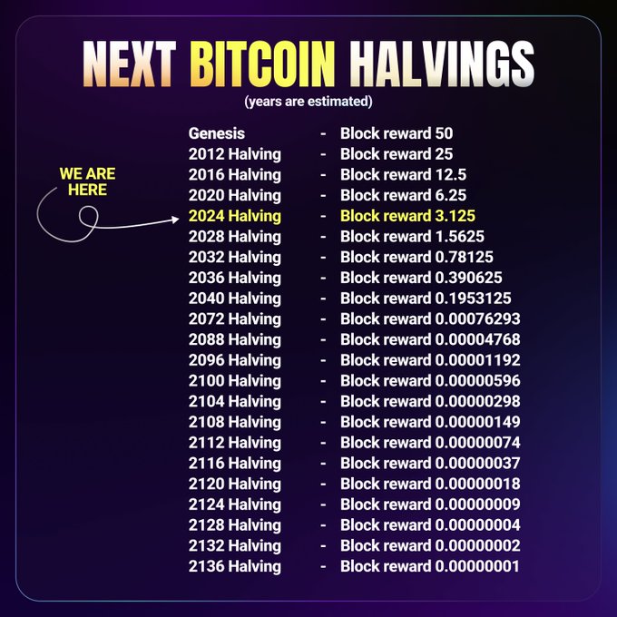 An infographic titled 'NEXT BITCOIN HALVINGS' showing estimated block rewards from Genesis (50) through the 2024 Halving (3.125) to the 2136 Halving (0.00000001), with an arrow labeled 'WE ARE HERE' pointing to 2024.