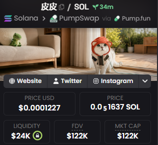 A cryptocurrency token called "皮皮" (Pipi) is shown on a Solana-based trading platform via DEX Screener, priced at $0.0001227 with a market cap of $122K, featuring a cute cartoon mascot character in the background image. The display includes links to PumpSwap and Pump.fun, along with social media buttons for Website, Twitter, and Instagram.