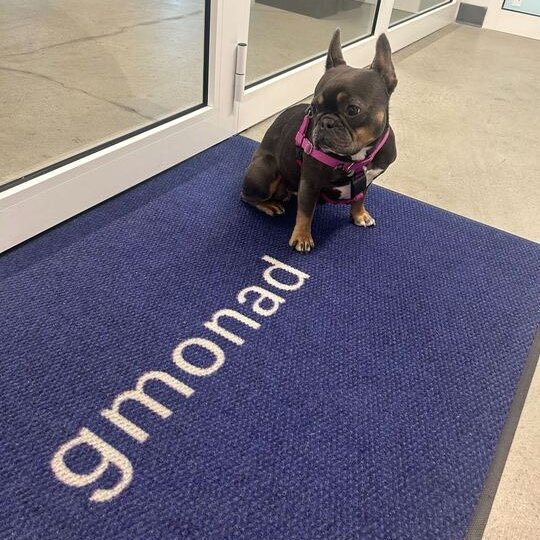 A French bulldog wearing a pink harness sits on a blue 'monopd' branded doormat outside a glass doorway, with the dog looking directly at the camera.