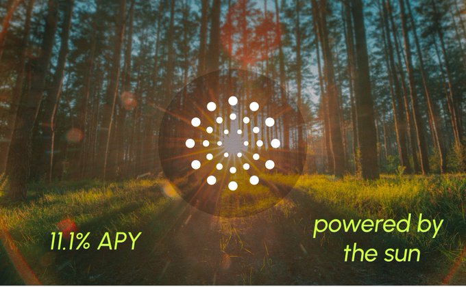 A forest scene at sunset with a sunburst graphic overlay, promoting '11.1% APY' and 'powered by the sun' in yellow text.